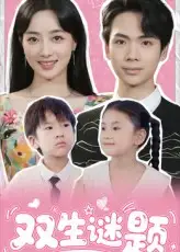 双生谜题（36集）海报