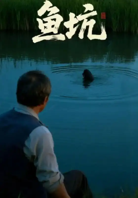 短剧《鱼坑》免费观看高清完整版