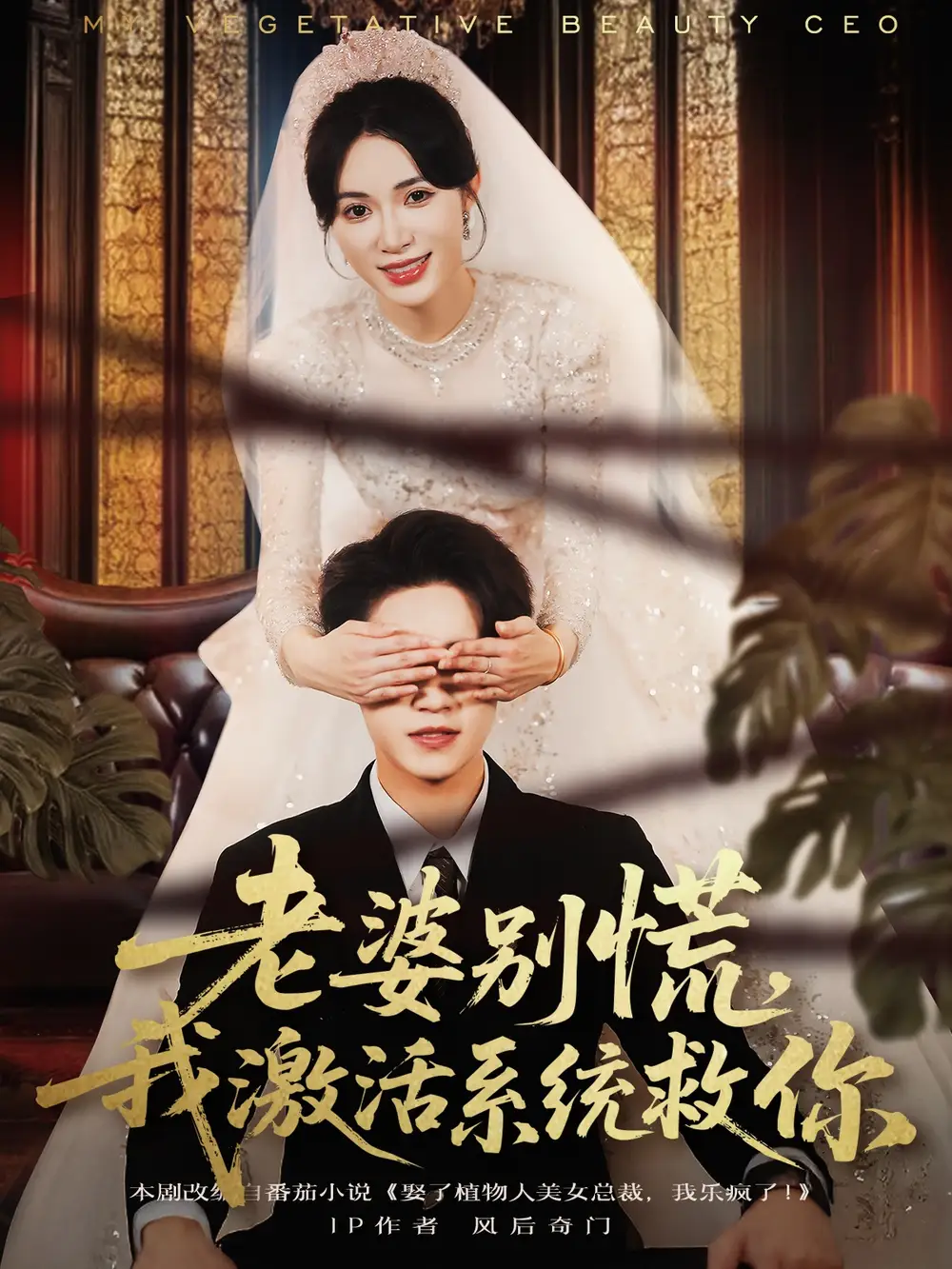 老婆别慌，我激活系统救你（80集）孙航＆柯珂海报