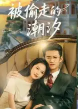 短剧《被偷走的潮汐》免费观看高清完整版