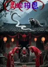 短剧《灵蛇报恩》免费观看高清完整版