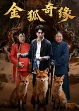 短剧《金狐奇缘》免费观看高清完整版