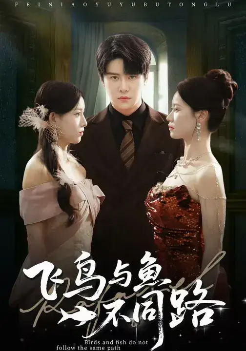 短剧《飞鸟与鱼不同路》免费观看高清完整版