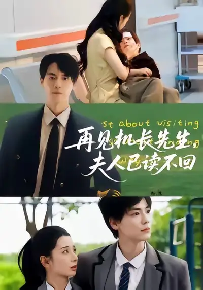 短剧《再见机长先生夫人已读不回》免费观看高清完整版