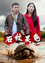 短剧《石纹灵龟》免费观看高清完整版
