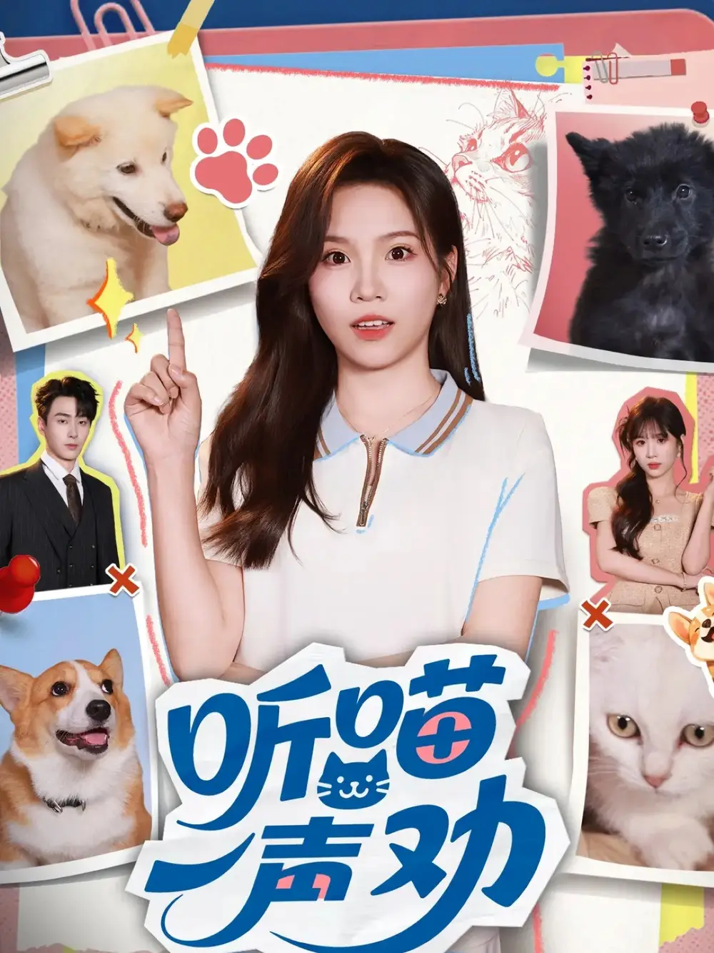 短剧《听喵一声劝》免费观看高清完整版