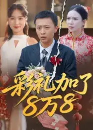 短剧《彩礼加了8万8》免费观看高清完整版