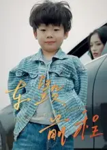 短剧《车毁前程》免费观看高清完整版