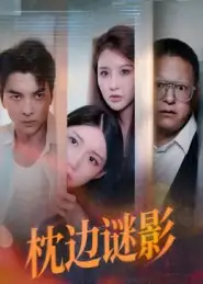 短剧《枕边谜影&我撞破了妻子的秘密》免费观看高清完整版