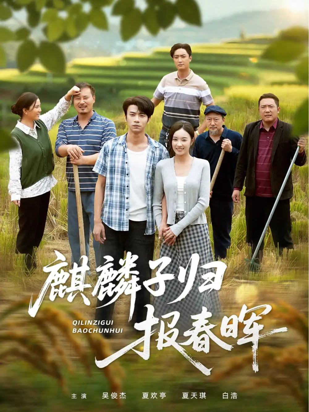 短剧《麒麟子归报春晖》免费观看高清完整版