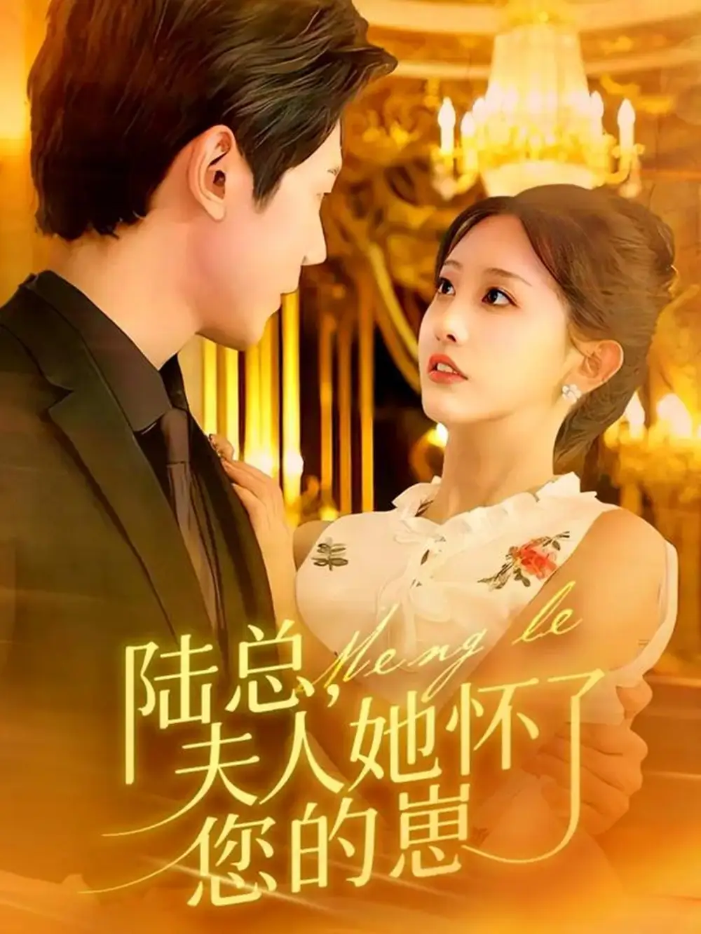 短剧《陆总，夫人她怀了您的崽》免费观看高清完整版