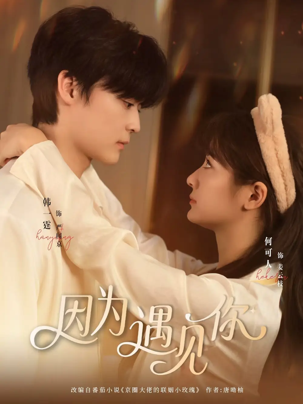 因为遇见你（79集）韩一霆＆何可人海报