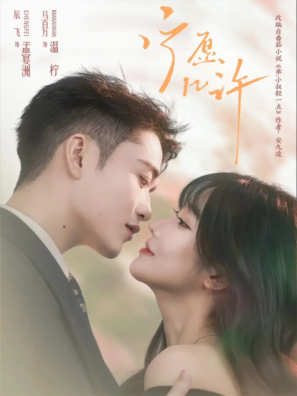 宁愿几许（78集）马百万＆辰飞海报