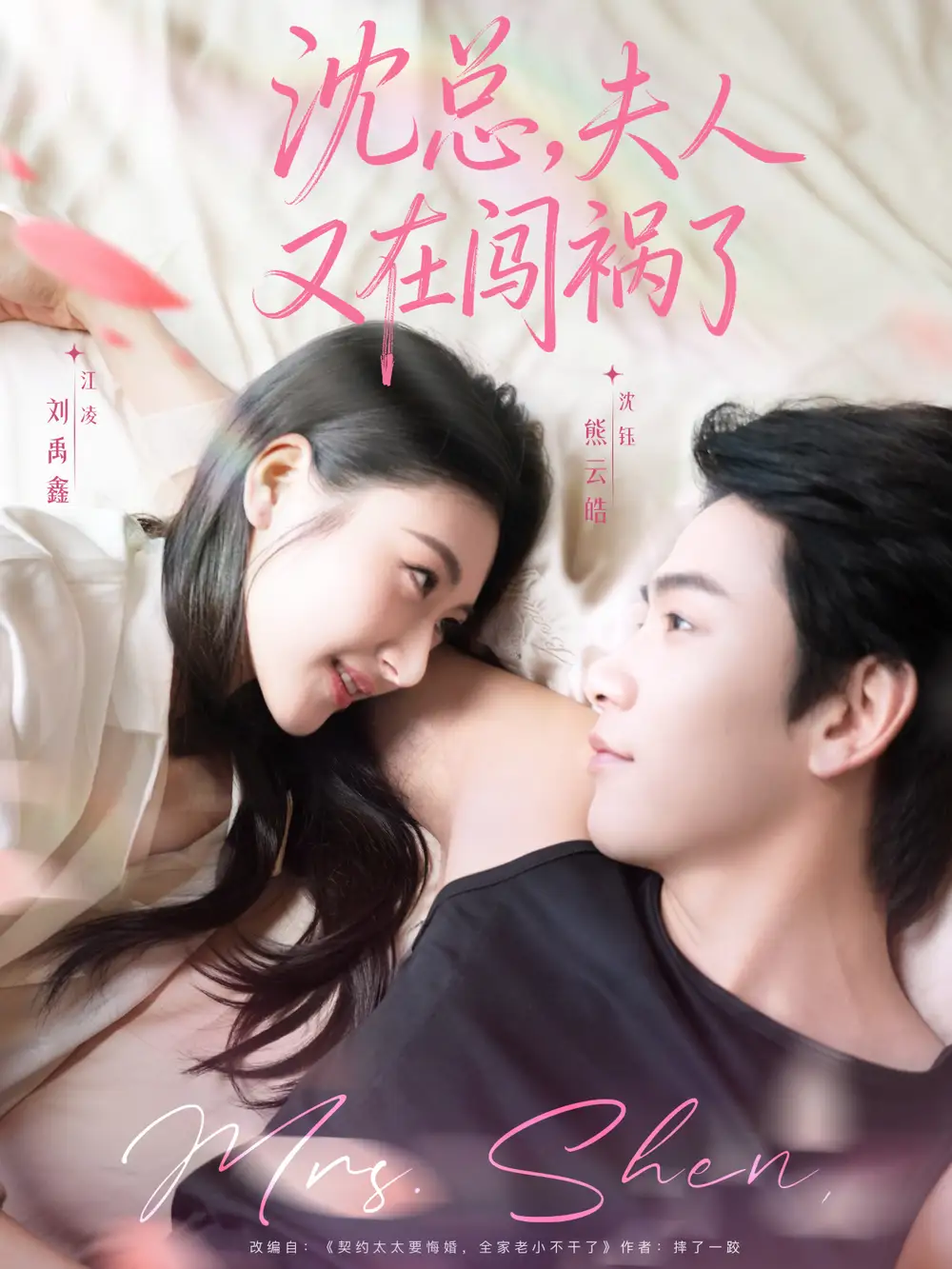 短剧《沈总，夫人又在闯祸了》免费观看高清完整版