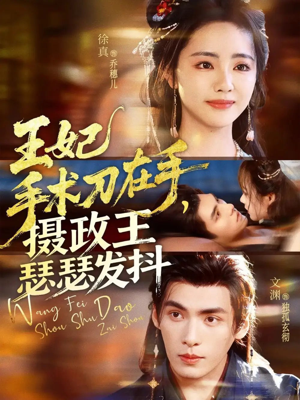 王妃手术刀在手摄政王瑟瑟发抖（73集）徐真&文渊海报