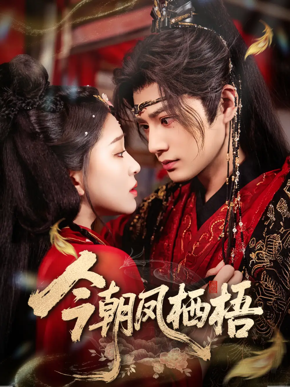 短剧《今朝凤栖梧》免费观看高清完整版