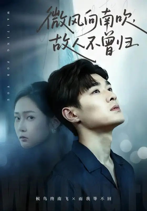 短剧《微风向南吹，故人不曾归》免费观看高清完整版