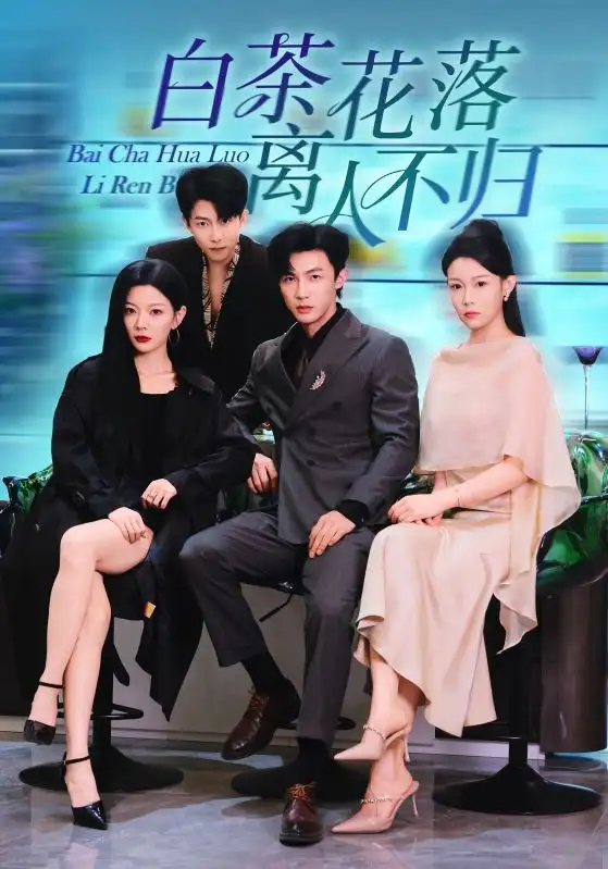 短剧《白茶花落离人》免费观看高清完整版