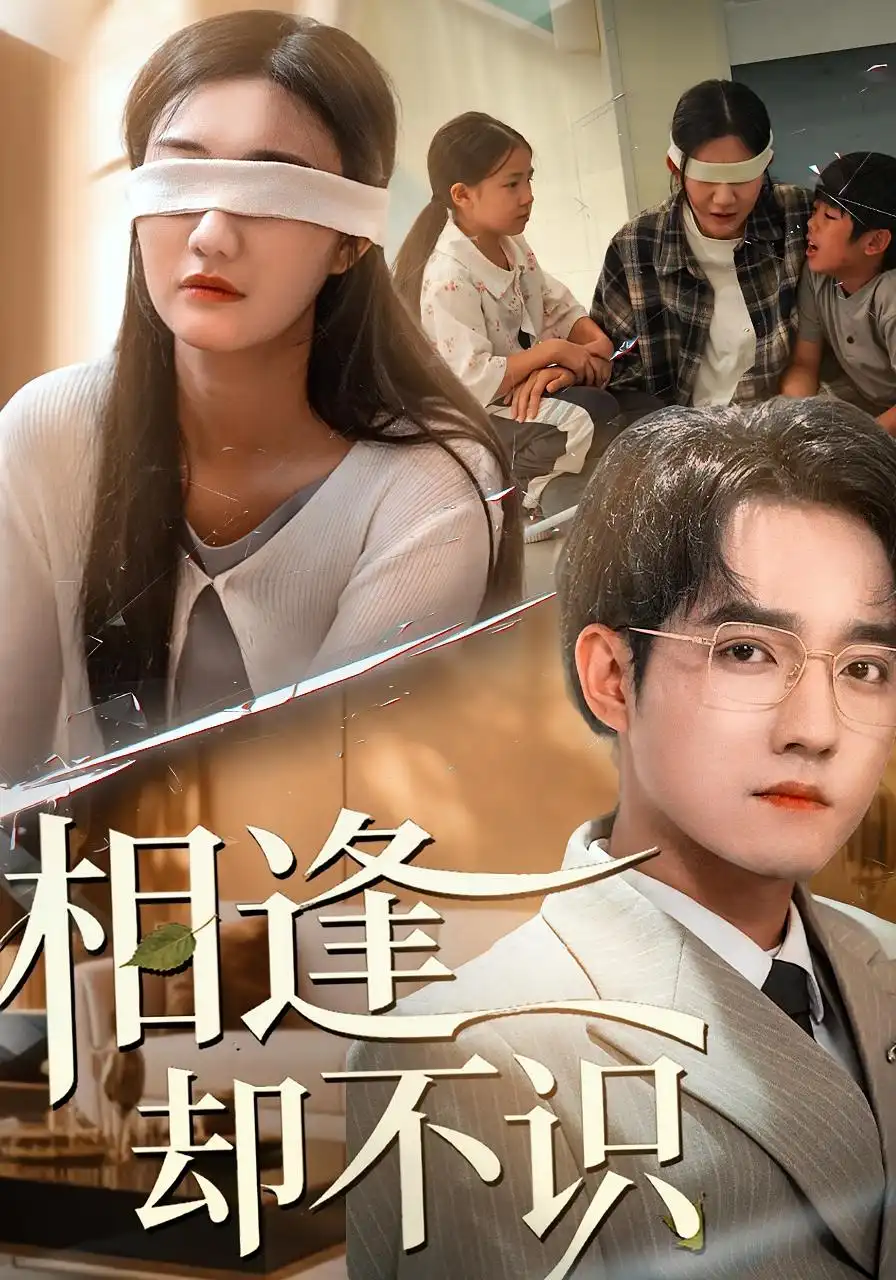 短剧《相逢却不识》免费观看高清完整版