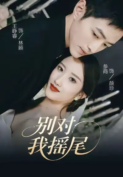 别对我摇尾(59集)王峥睿&参商高清海报图片 别对我摇尾(59集)王峥睿&参商海报