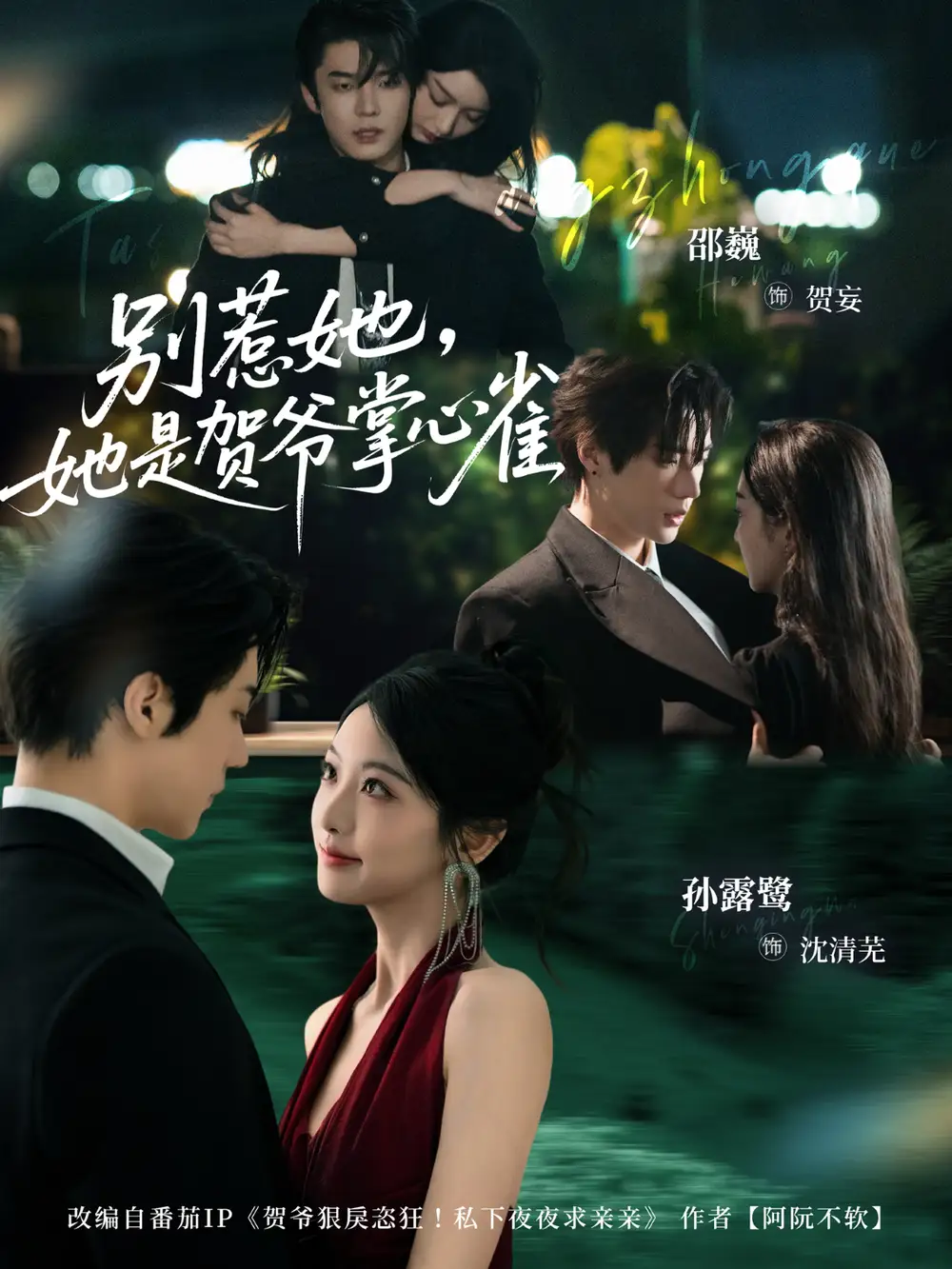 别惹她，她是贺爷掌心雀（69集）邵巍＆孙露鹭海报