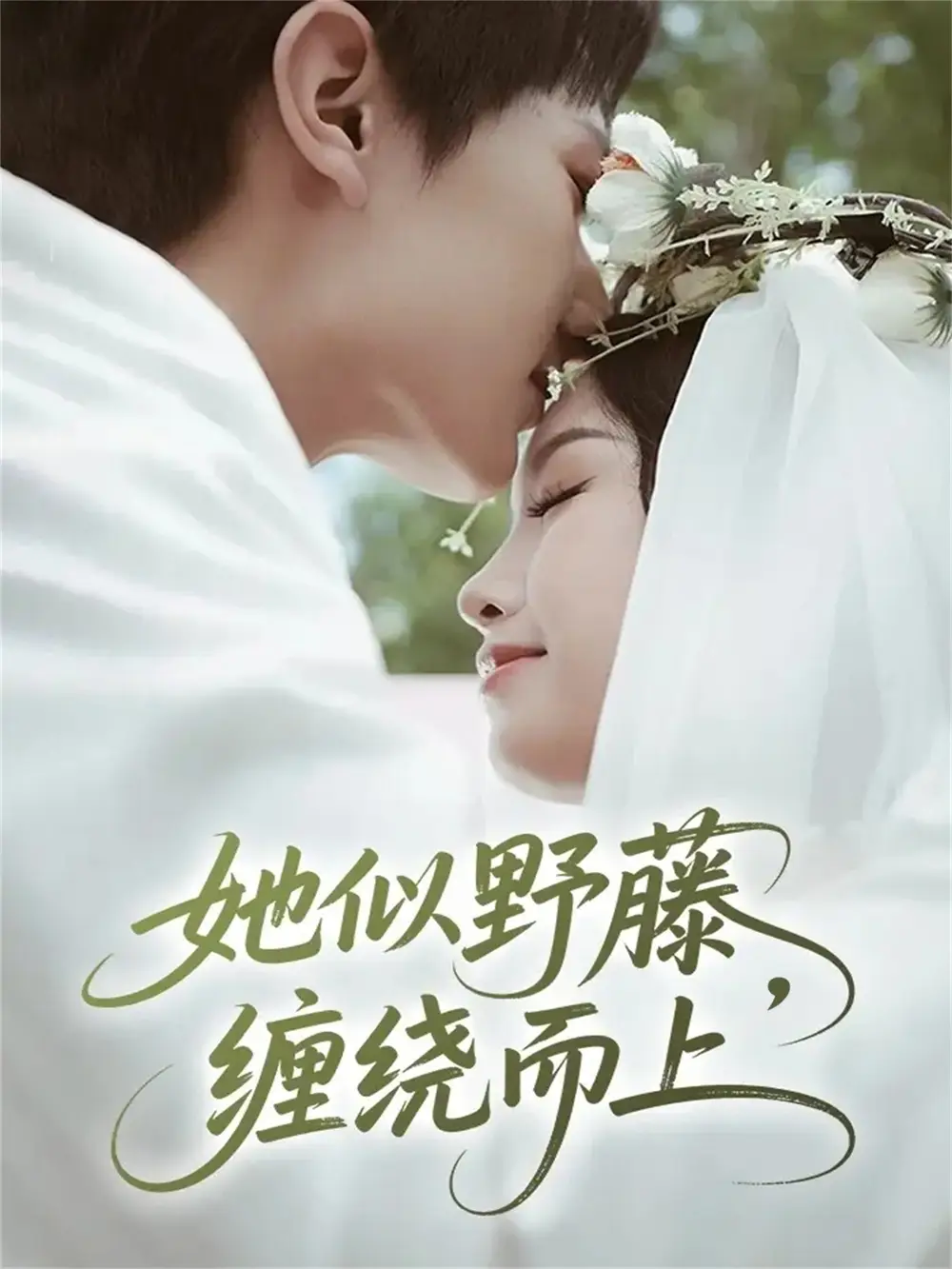 短剧《她似野藤，缠绕而上》免费观看高清完整版