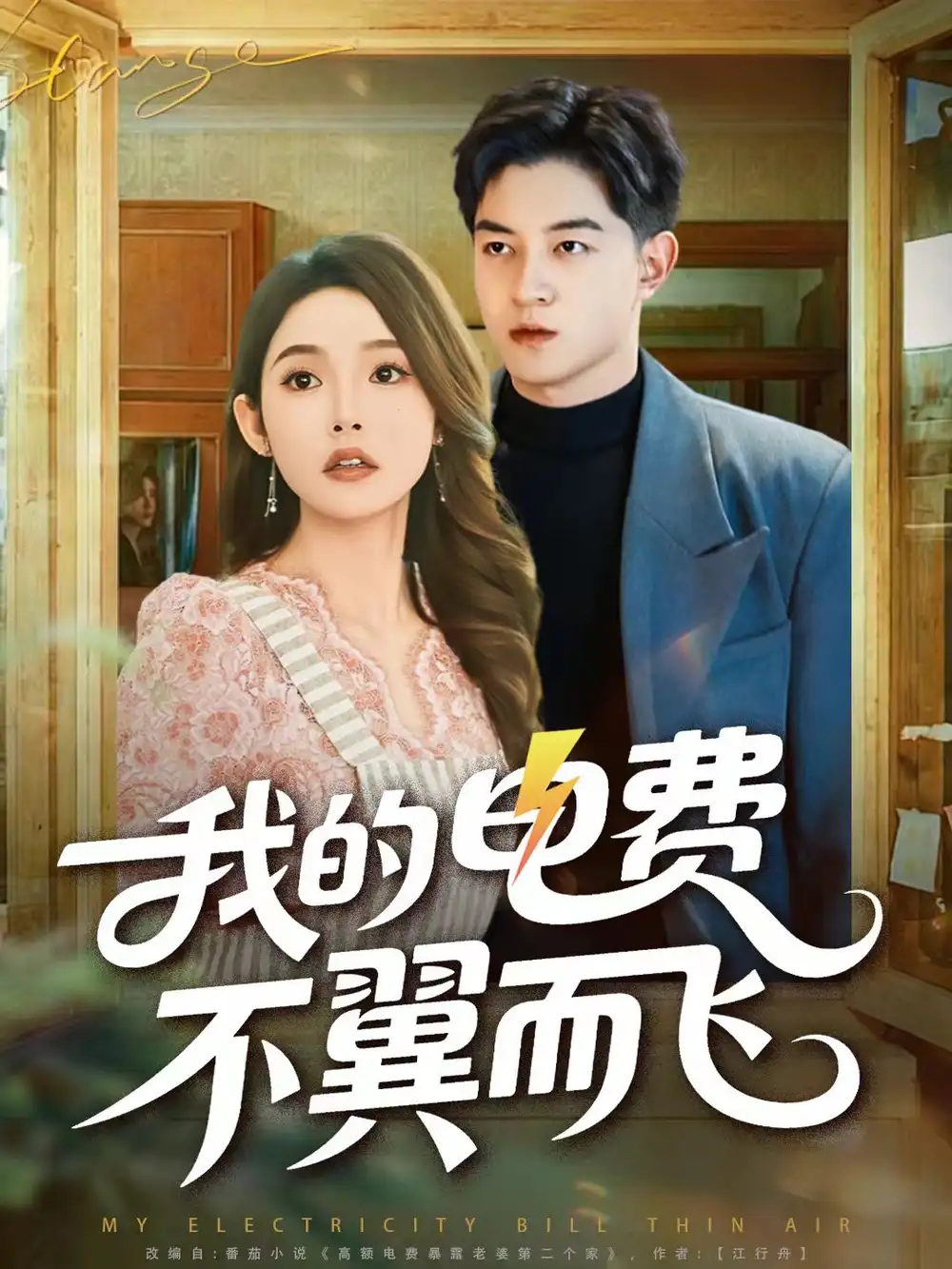 我的电费不翼而飞（60集）贺龙天＆杨莯海报