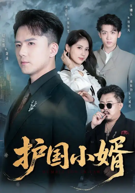 短剧《护国小婿》免费观看高清完整版