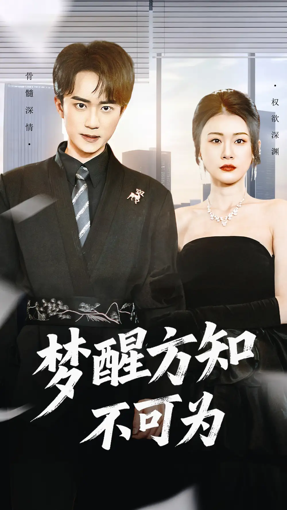 梦醒方知不可为（49集）李永臻＆叶一宁海报