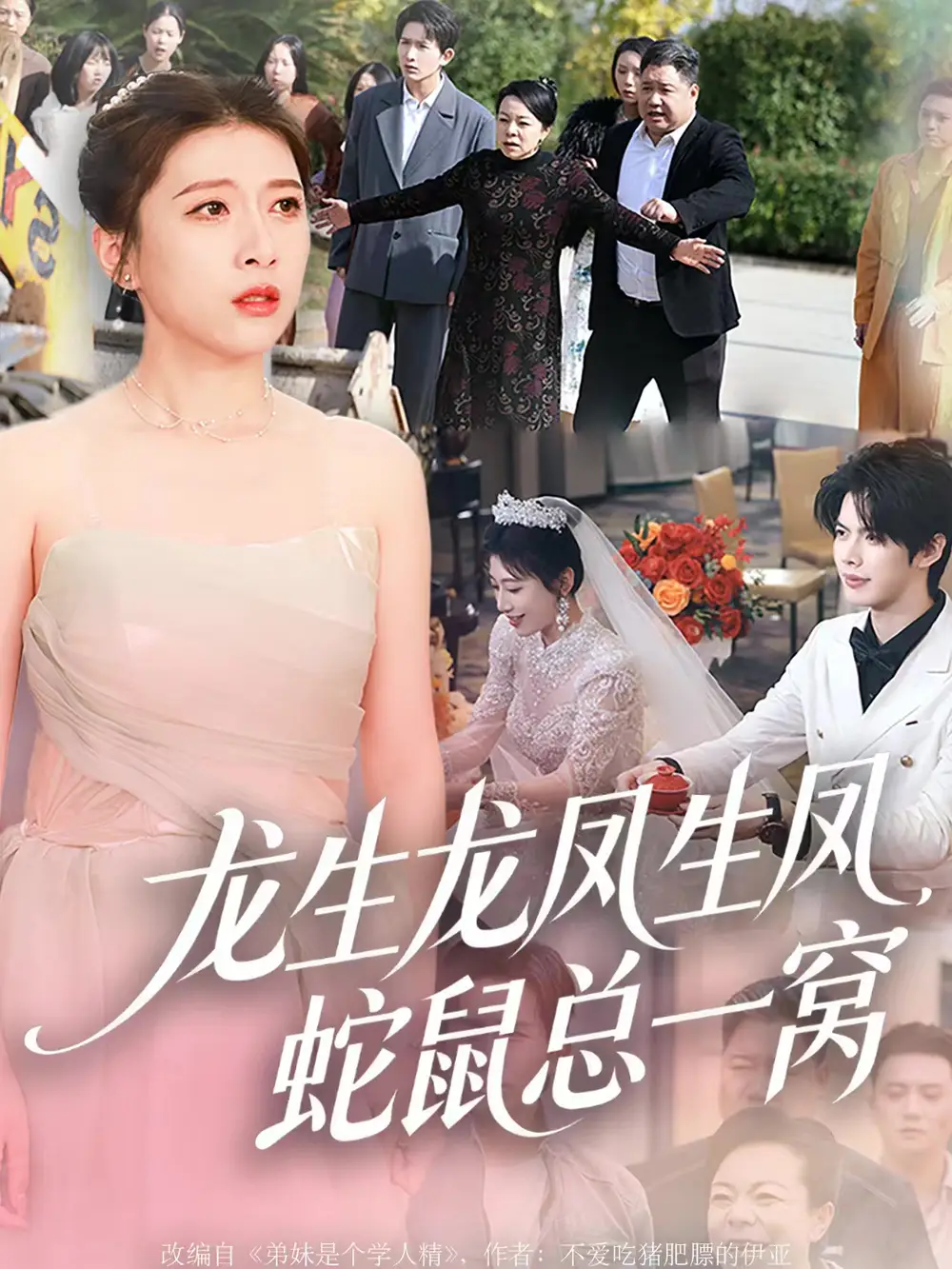 龙生龙凤生凤，蛇鼠总一窝（60集）曹淼＆牛韵暄海报